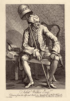 John Wilkes Esq.