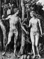 Adam and Eve Adam and Eve