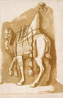 Camel Camel