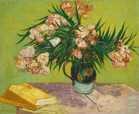 Oleanders Oleanders