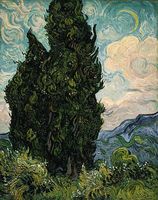 Cypresses Cypresses