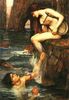 The Siren The Siren