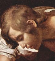 Cropped - Narcissus Narcissus