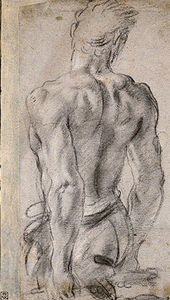 Male Nude Seen from Behind