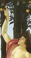 Cropped - Primavera Primavera