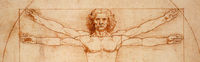 Cropped - Vitruvian Man Vitruvian Man