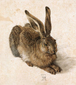 Young Hare Young Hare