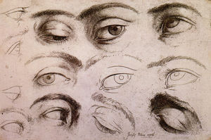 Seven Line Studies and Six Finished Studies of Eyes