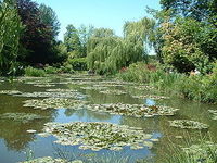 A photograph of part of Monet's famous water lily pond in Giverny. Lily Pond