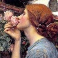 The Soul of the Rose