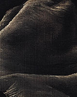 Cropped - Portrait of Baldassare Castiglione Portrait of Baldassare Castiglione