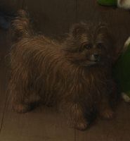 Cropped - The Arnolfini Portrait The Arnolfini Portrait