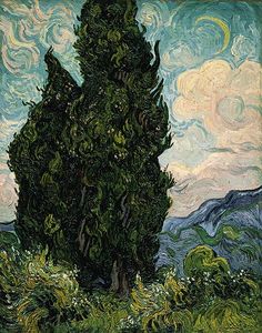 Cypresses